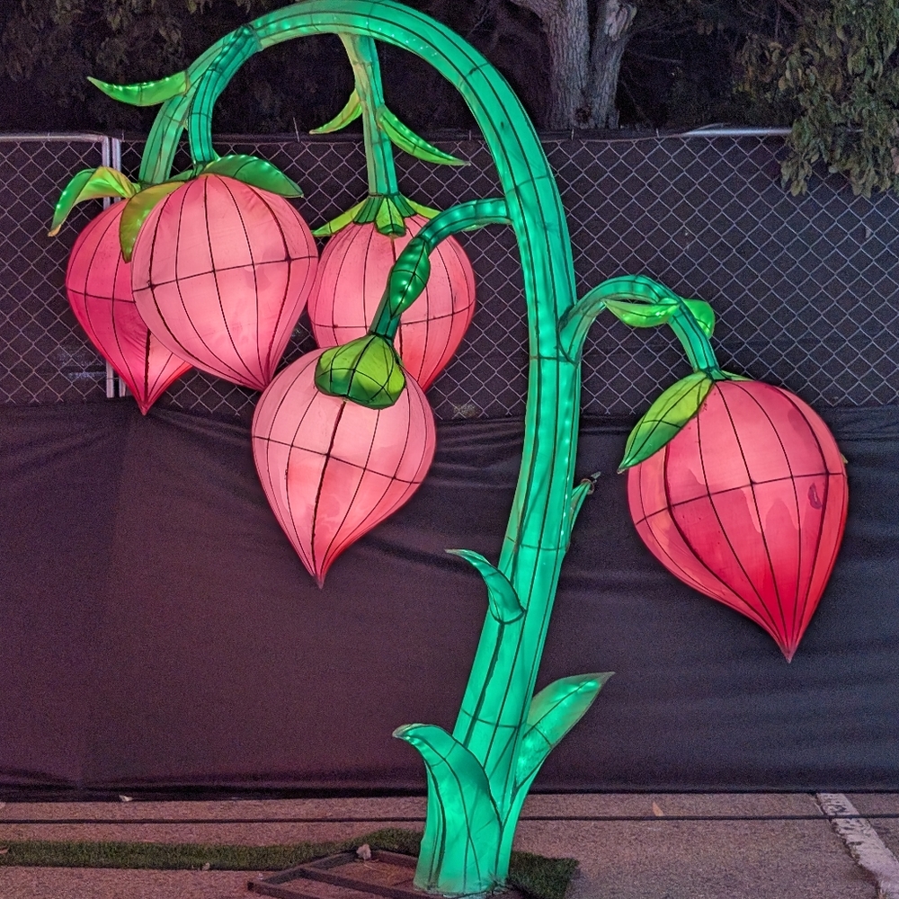 Meet your Posher, Alice